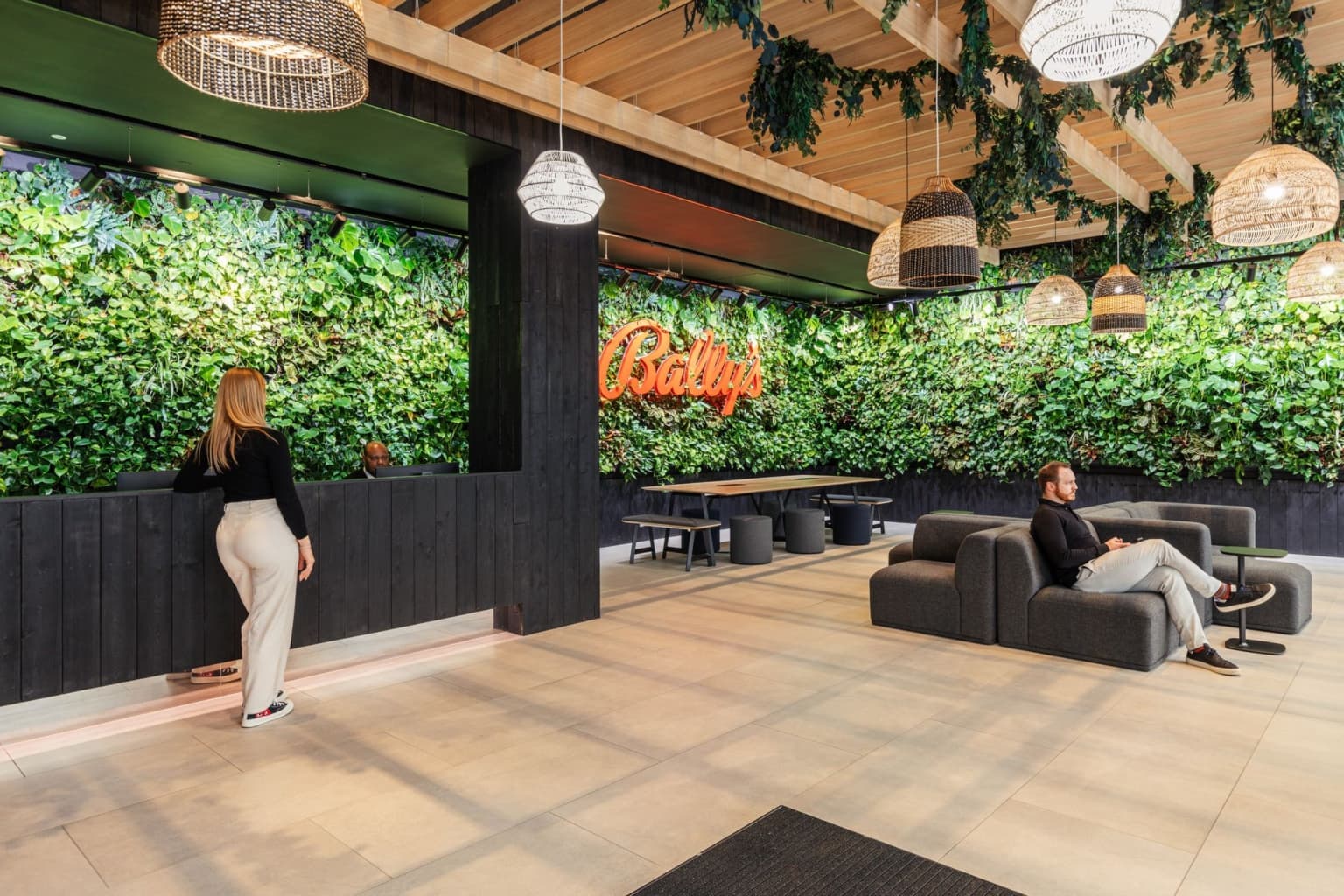 Securing a Graduate Software Engineering Role